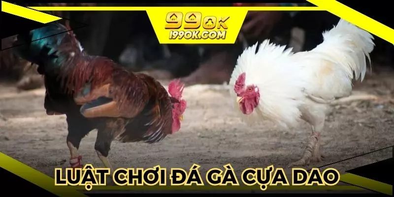 Thể lệ thi đấu cụ thể trong bộ môn đá gà cựa dao