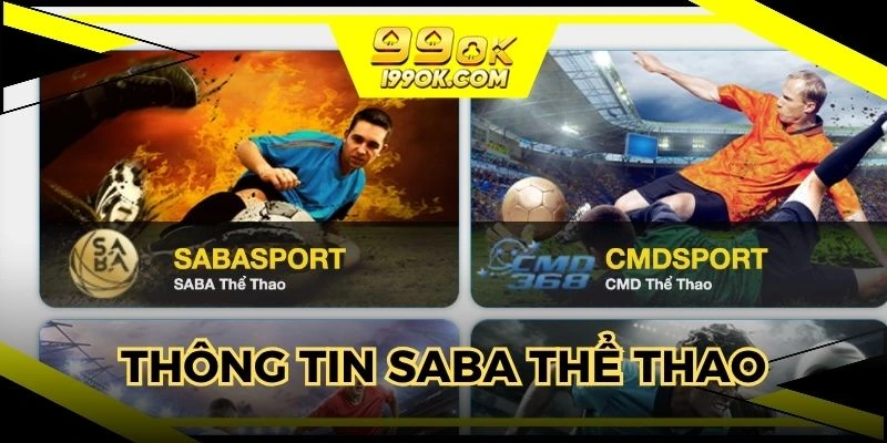 Thông tin về sảnh saba thể thao đình đám